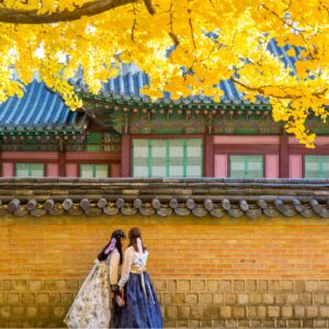 6日5晚 麗水+首爾